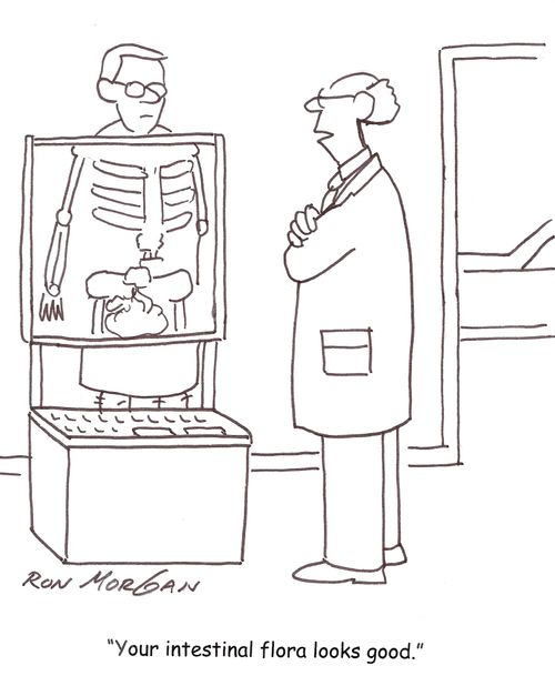 "Your intestinal flora looks good."