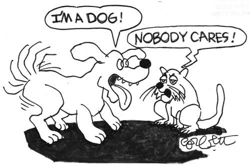 Dog: 'I'm a dog!'  Cat: 'Nobody cares!'