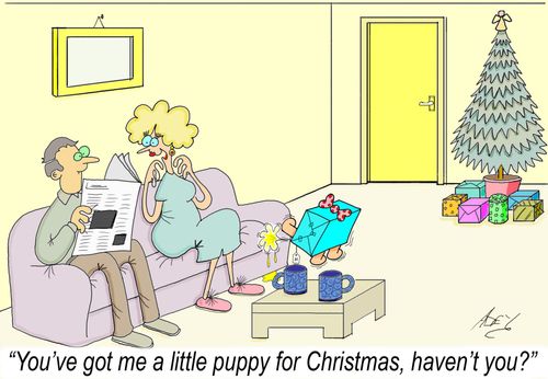 'You've got me a puppy for Christmas, haven't you?'