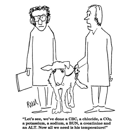 'Let's see, we've done a CBC, a chloride, a CO2, a potassium...