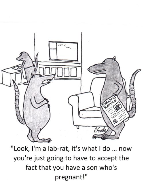 'Look, I'm a lab-rat, it's what I do ... now you're just going to have to accept the fact that you have a son who's pregnant!'