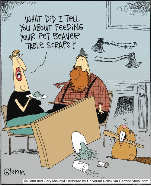 'What did I tell you about feeding your pet beaver table scraps?'