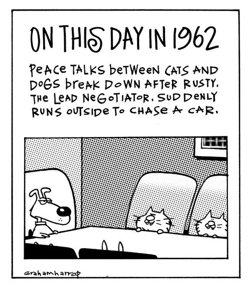Peace talks between cats and dogs break down after Rusty, the lead negotiator, suddenly runs outside to chase a car.