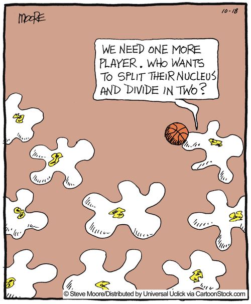 'We need one more player. Who wants to split their nucleus and divide in two?'