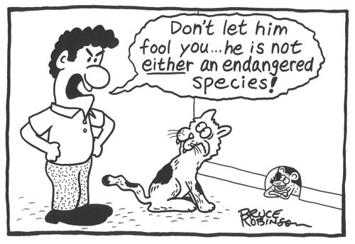 'Don't let him fool you. . .he is not either an endangered species!'