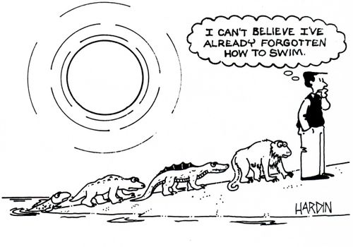 'I can't believe I've already forgotten how to swim.'