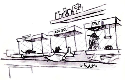 Rats in a laboratory labelled: 'Test, Control, Pet.'