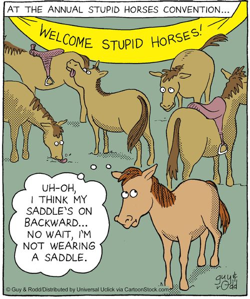 'Uh-oh, I think my saddle's on backward. . . No wait, I'm not wearing a saddle.'