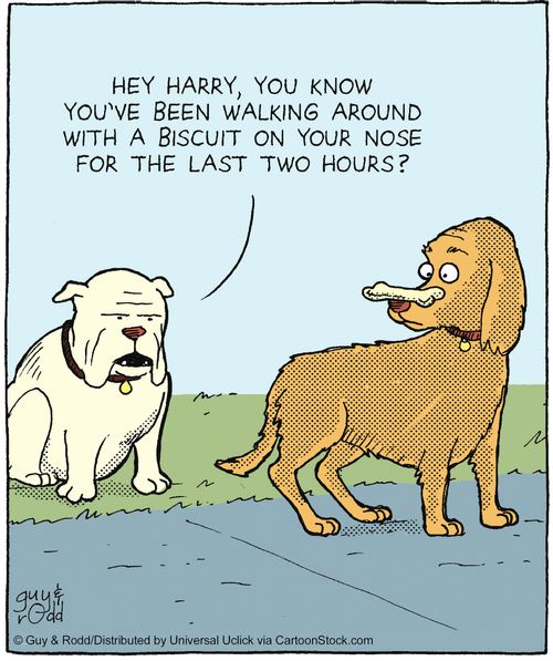 'Hey Harry, you know you've been walking around with a biscuit on your nose for the last two hours?'