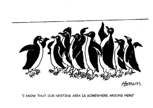 'I know that our nesting area is somewhere around here?'