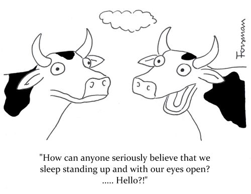 'How can anyone seriously believe that we sleep standing up and with our eyes open ,,,, Hello'