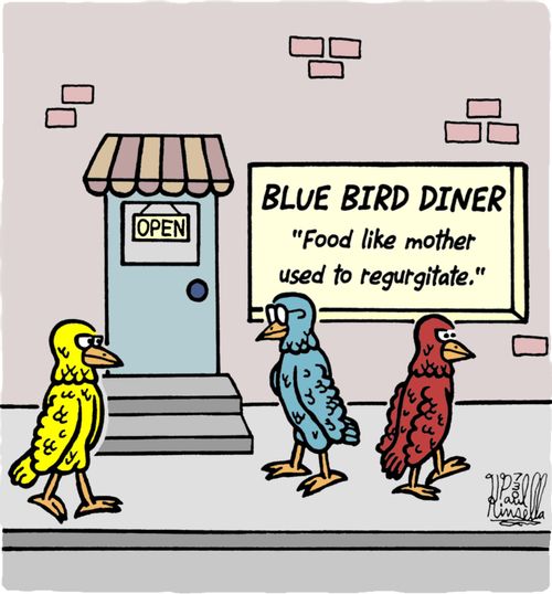 Blue Bird Diner: 'Food like mother used to regurgitate.'