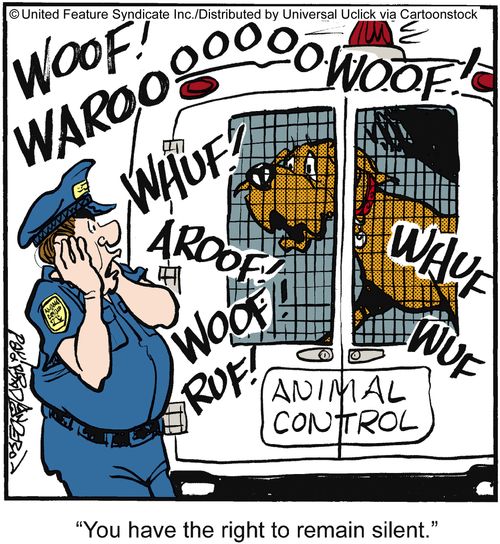 'You have the right to remain silent.'