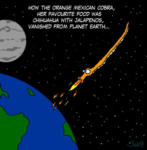 How the orange Mexican cobra, her favourite food was chihuahua with jalapenos, vanished from planet Earth...