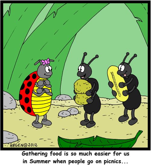 'Gathering food is so much easier for us in Summer when people go on picnics...'
