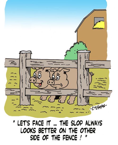 'Let's face it. . . the slop always looks better on the other side of the fence!'