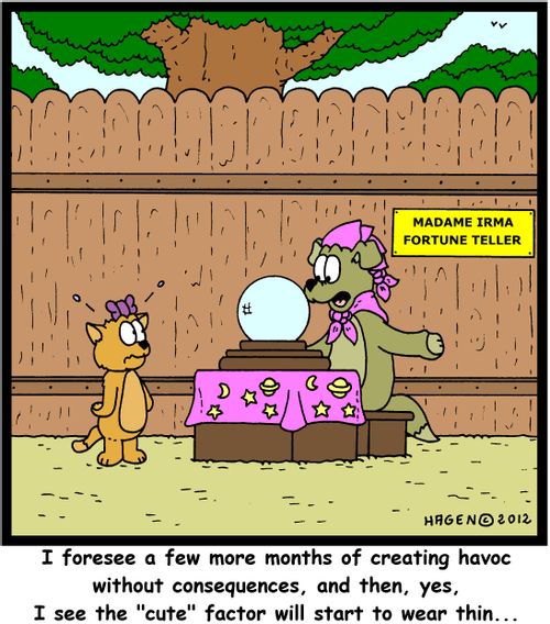 'I foresee a few more months of creating havoc without consequences, and then, yes, I see the 'cute' factor will start to wear thin...'