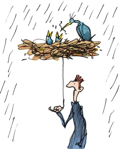 Man with bird's nest as an umbrella.