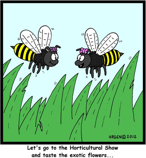 'Let's go to the Horticultural Show and taste the exotic flowers...'