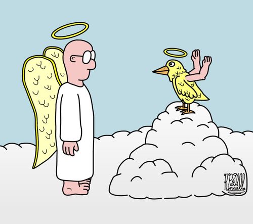 Angel with wings standing next to bird with arms.