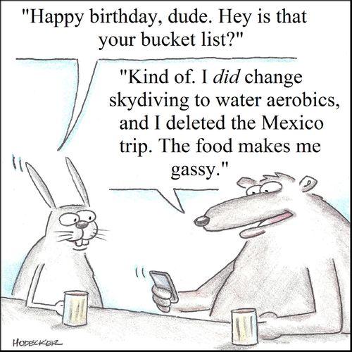 'Kind of. I did change skydiving to water aerobics, and I deleted the Mexico trip. The food makes me gassy.'