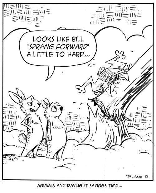 Animals and Daylight Savings Time...
