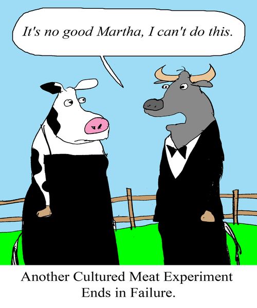 Another Cultured Meat Experiment Ends in Failure.