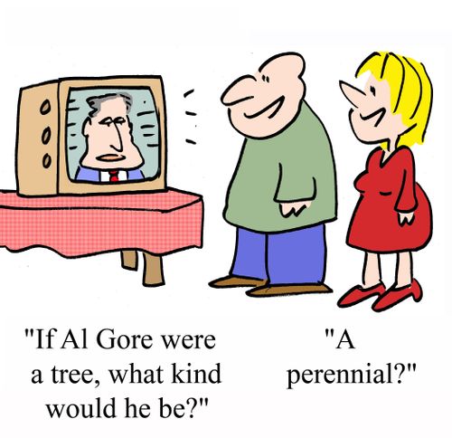 'If Al Gore were a tree, what kind would he be?'