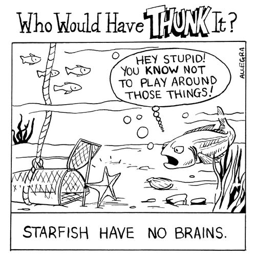 Starfish have no brains.