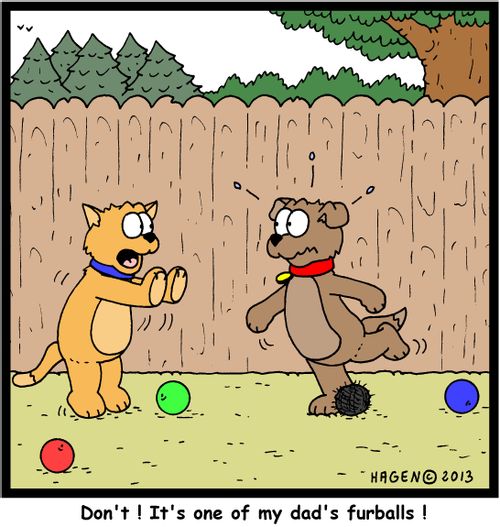 'Don't! It's one of my dad's furballs!'
