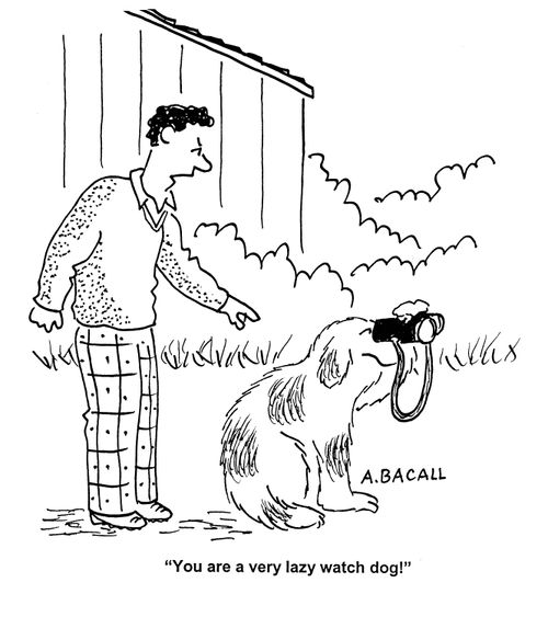 'You are a very lazy watch dog!'