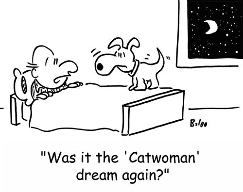 'Was it the 'Catwoman' dream again?'