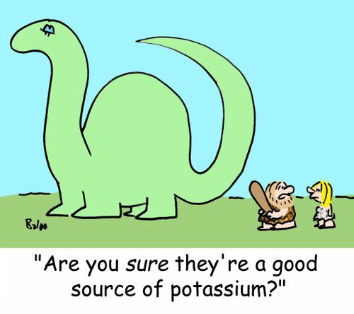 'Are you SURE they're a good source of potassium?'