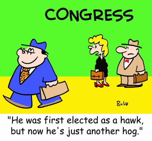 'He was first elected as a hawk, but now he's just another hog.'