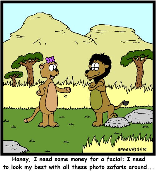 'Honey, I need some money for a facial: I need to look my best with all these photo safaris around...'