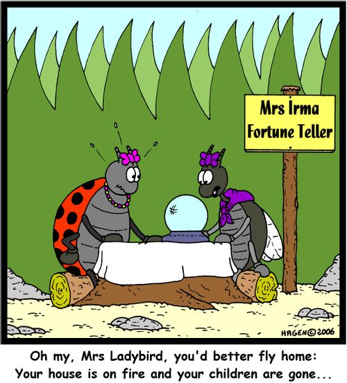 'Oh my, Mrs Ladybird, you'd better fly home: Your house is on fire and your children are gone...'
