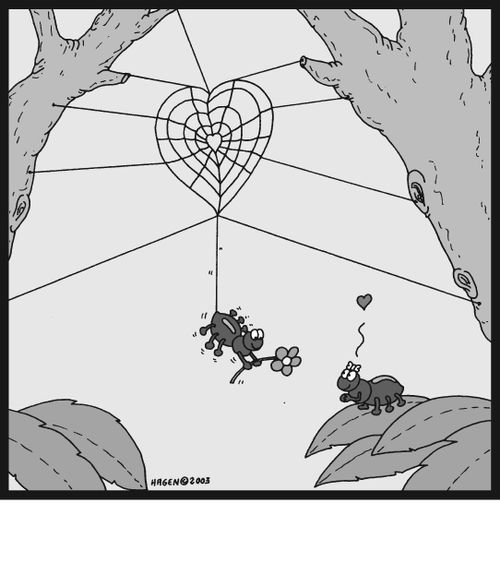 Spiders in love