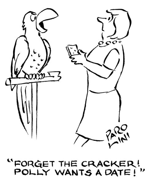 'Forget the cracker! Polly wants a date!'