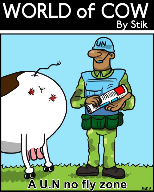 A U.N no fly zone