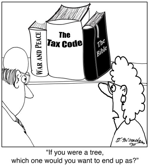 'If you were a tree, which one would you want to end up as?'