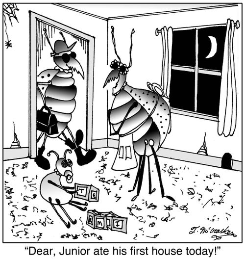 'Dear, Junior ate his first house today!'