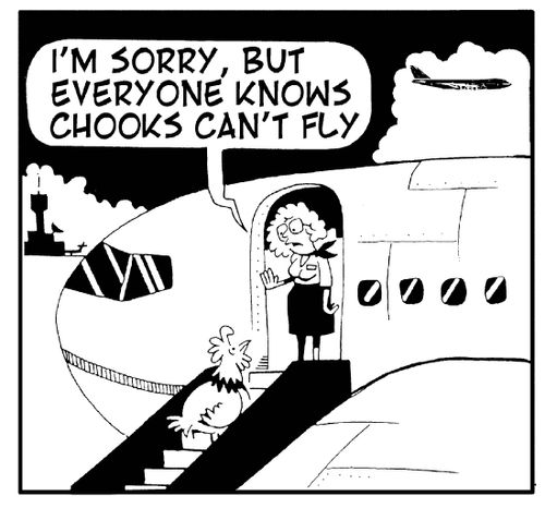 'I'm sorry, but everyone knows chooks can't fly.'