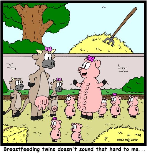 'Breastfeeding twins doesn't sound that hard to me...'