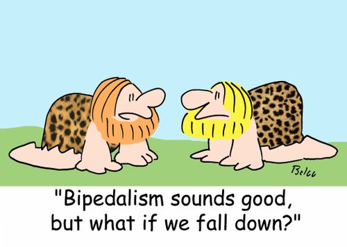 'Bipedalism sounds good, but what if we fall down?'