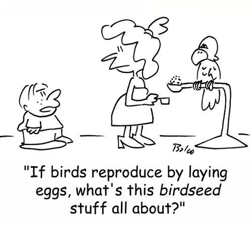 'If birds reproduce by laying eggs, what's this BIRDSEED stuff all about?'