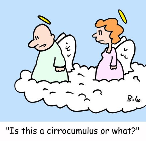 'Is this a cirrocumulus or what?'