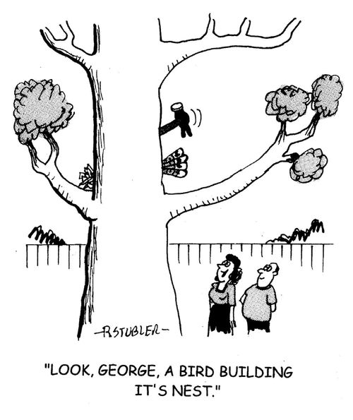 'Look, George, a bird building it's nest.'