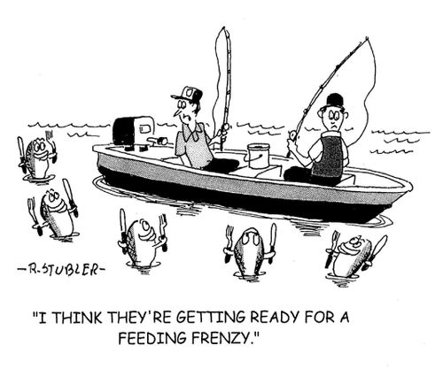 'I think they're getting ready for a feeding frenzy.'