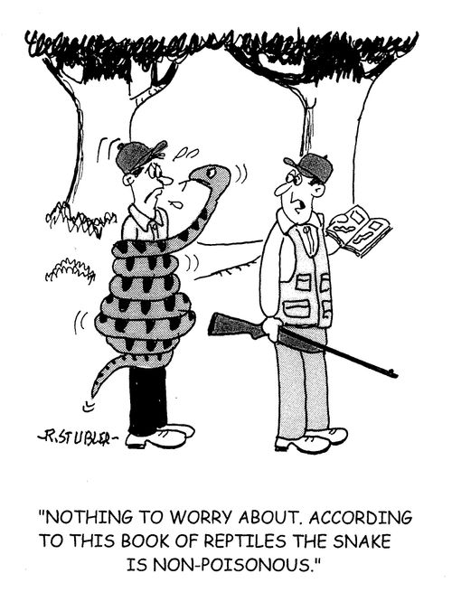 'nothing to worry about. According to this book of reptiles the snake is non-poisonous.'