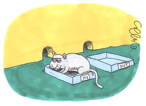 Cat and INOUT boxes.